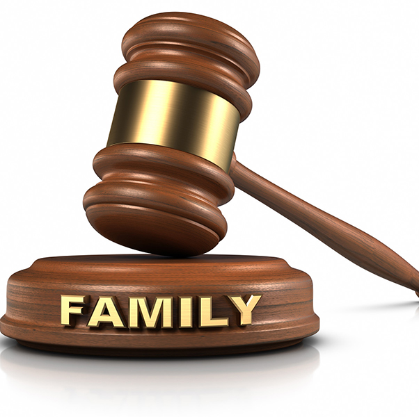 Family Law Including Children Matters